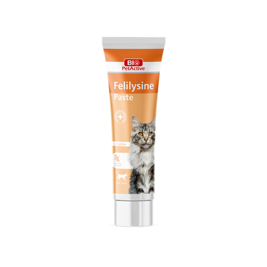 Bio PetActive Felilysine Paste (L-Lysine paste for Cats) 100ml